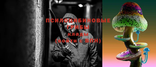 spice Лагань
