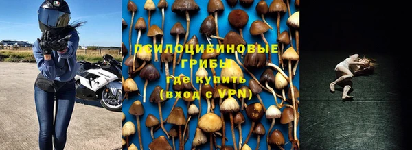 spice Лагань