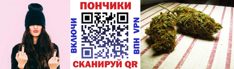 Бошки Шишки THC 21%  кракен ONION  Кашин 
